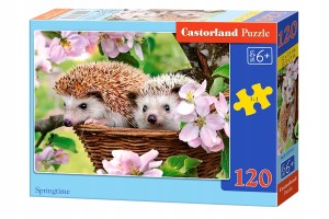 PUZZLE 120el. Wiosna CASTORLAND B-13319-1