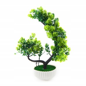 DRZEWKO BONSAI W DONICZCE ROŚLINA RÓŻNE KOLORY