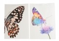 fab0406c421a895f1e176340da89