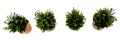 7b9d31aa409094c458ed74691147