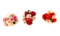 c9b99bc64ce69a808c8cfe6c04f1