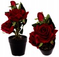 7fda263d4e878c5031d7b7acfbe6