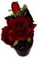 a68c81a94b4eb3db6fdcaf1db6cf