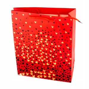 SERDUSZKA TORBA PREZENTOWA 26x32CM RÓŻNE KOLORY