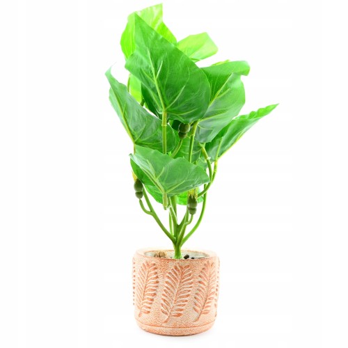 51519f3445b2aec04832d053c0f9