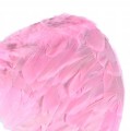 af08aecbd5c5df450cbbbefccfb570e3