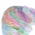 14d04cf1c82ef00a0dc7f54eae6019b0