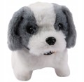bec5c52712dcefe7e97f488347730cab