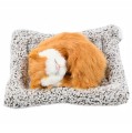 f7dc5ea96584281b80bbf2edd4b415dc