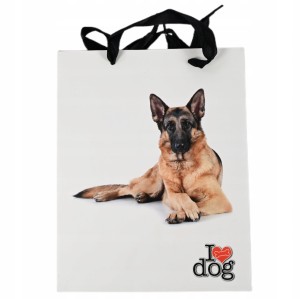 TOREBKA PREZENTOWA KOTY PSY TORBA 18x24CM RÓŻNE WZORY